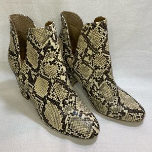 Madden Girl Rockker Booties Faux Snakeskin, NWOT or Box, US Size 8